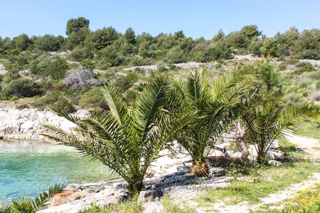 Vila Tatinja Trogir Exterior photo